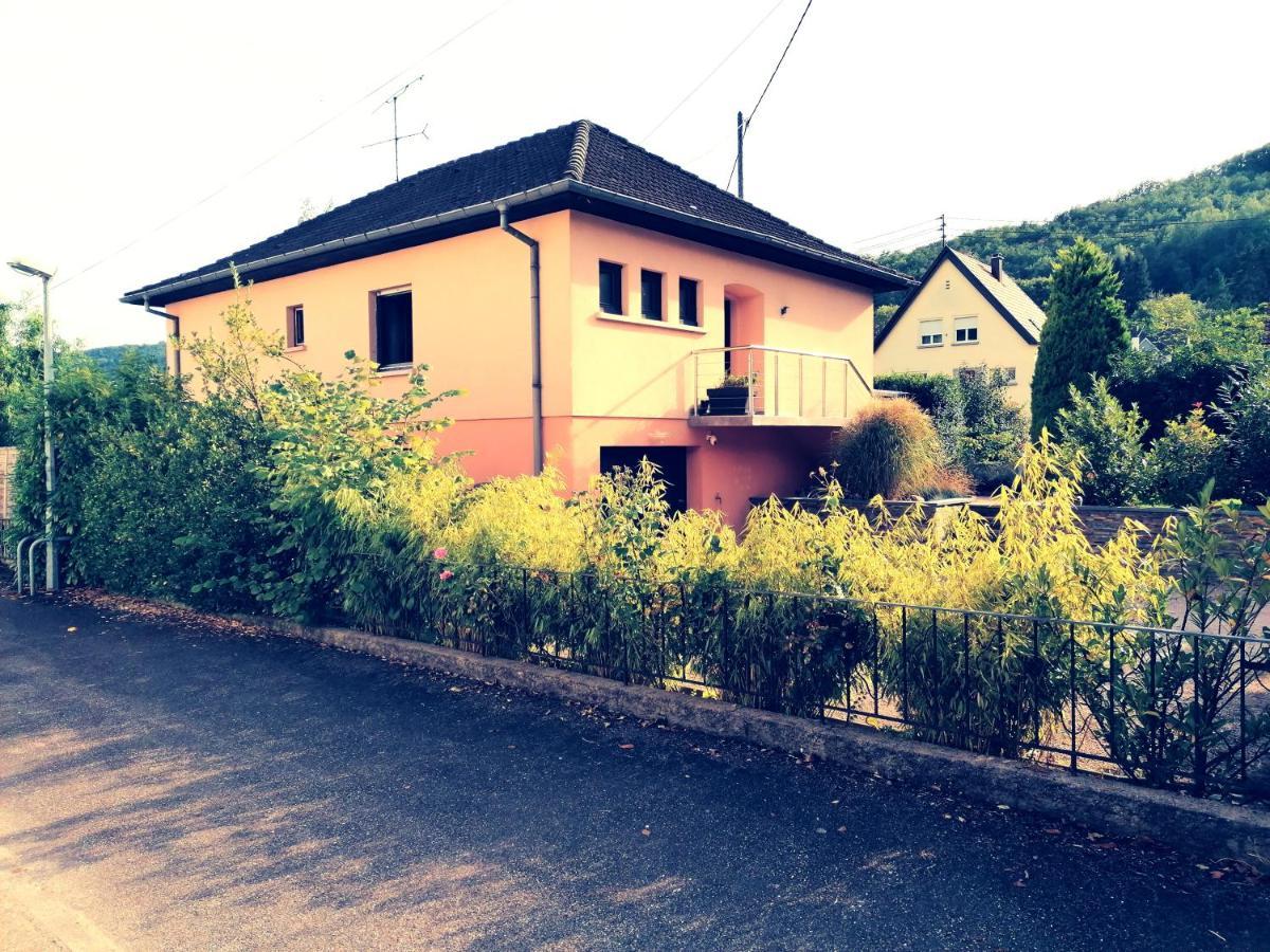 Le Ptit Lou Apartment Kaysersberg-Vignoble ภายนอก รูปภาพ