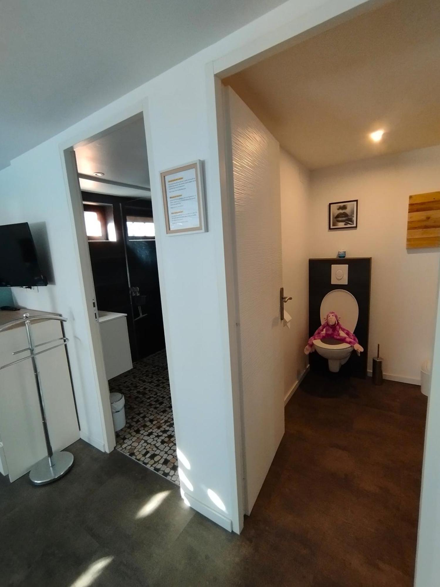 Le Ptit Lou Apartment Kaysersberg-Vignoble ภายนอก รูปภาพ